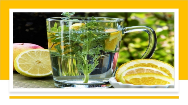 Formação em Fitoterapia