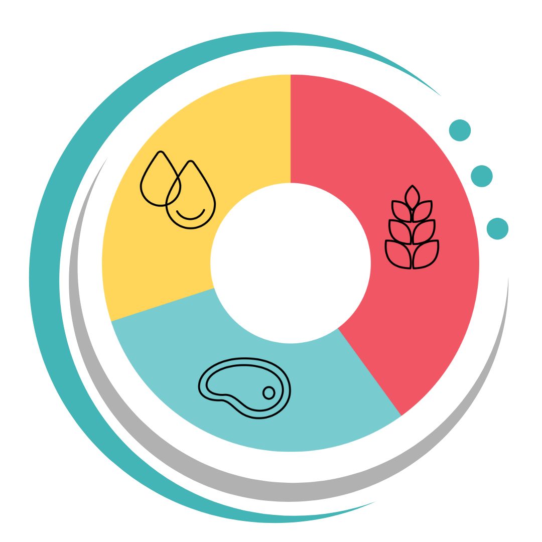 Nutricionista Recreio